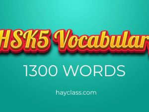 HSK5 Vocabulary